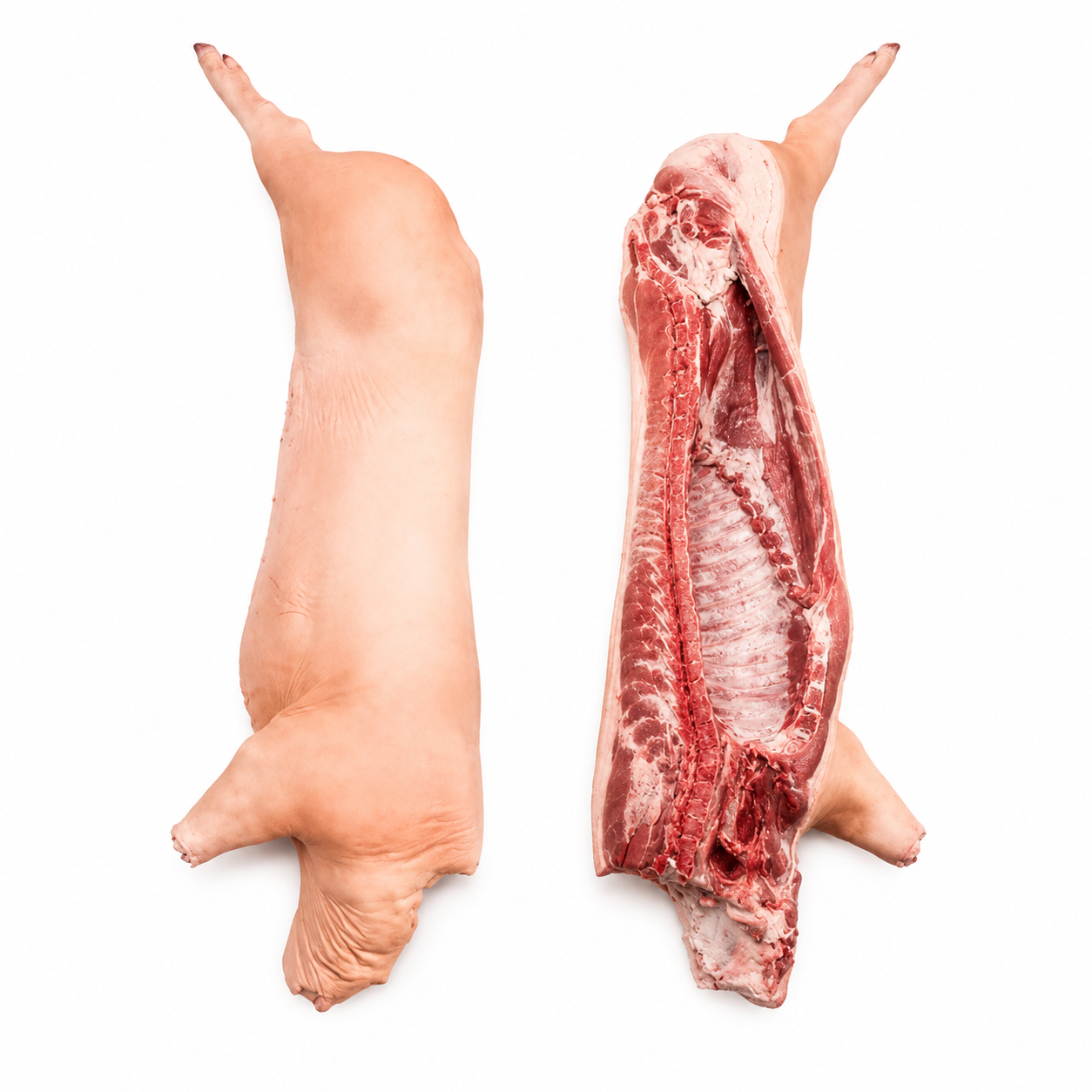 Frozen Pork Carcass