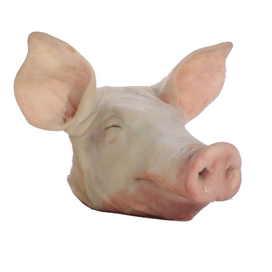 Frozen Pork Head