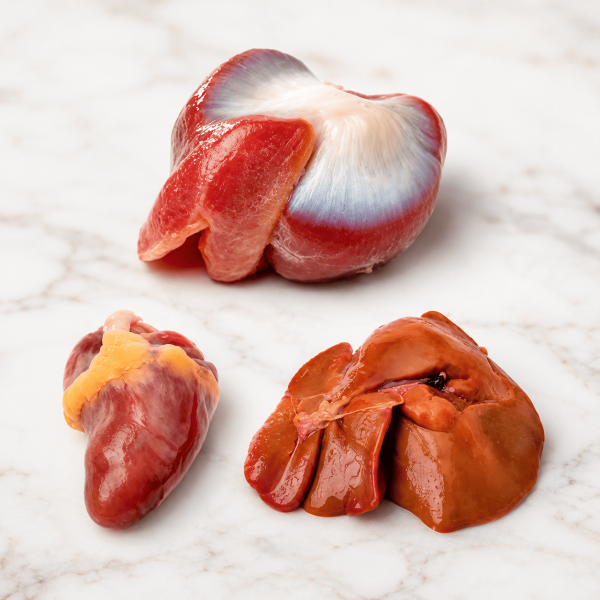 Fresh chicken offals