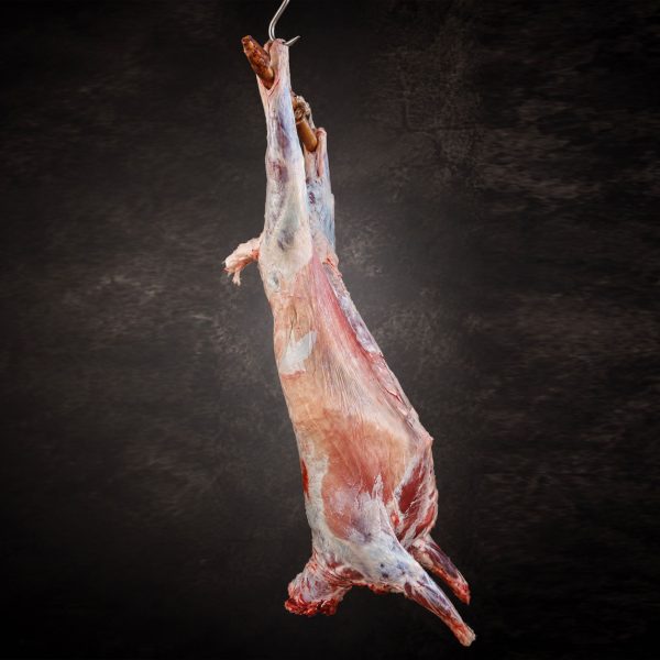 Beef’s Meat